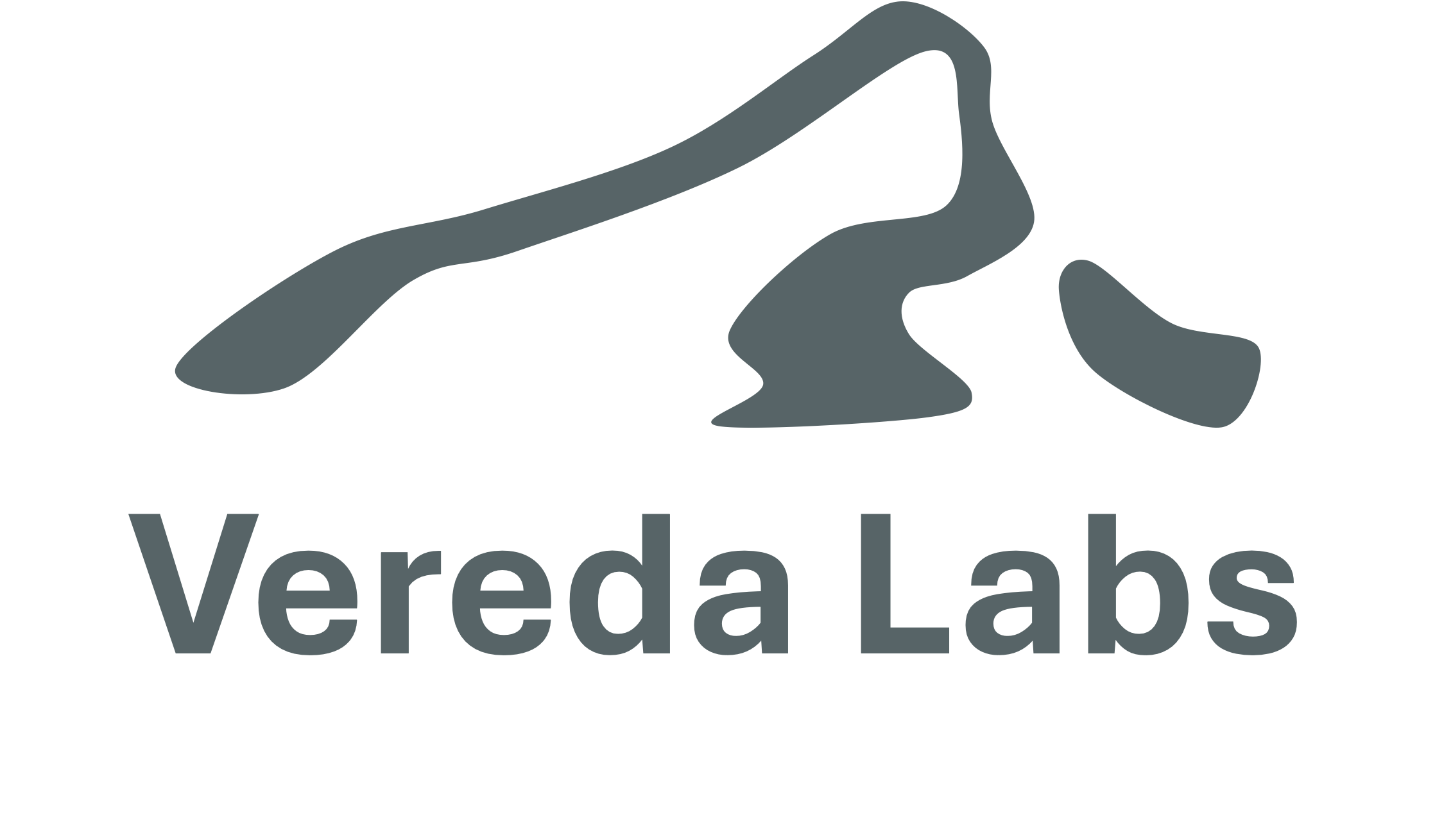 Vereda Labs
